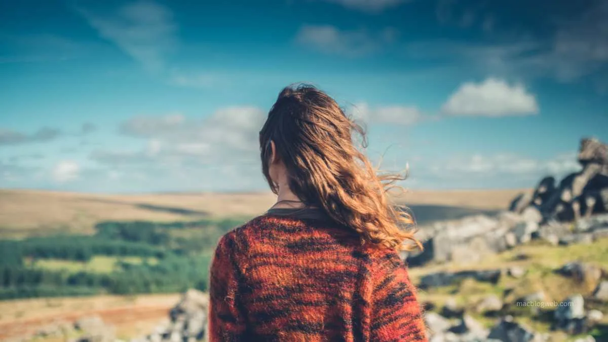 BLUEFIRE WILDERNESS LAWSUIT