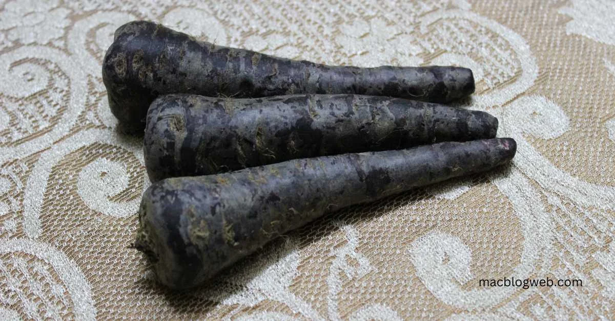 black carrot benefits