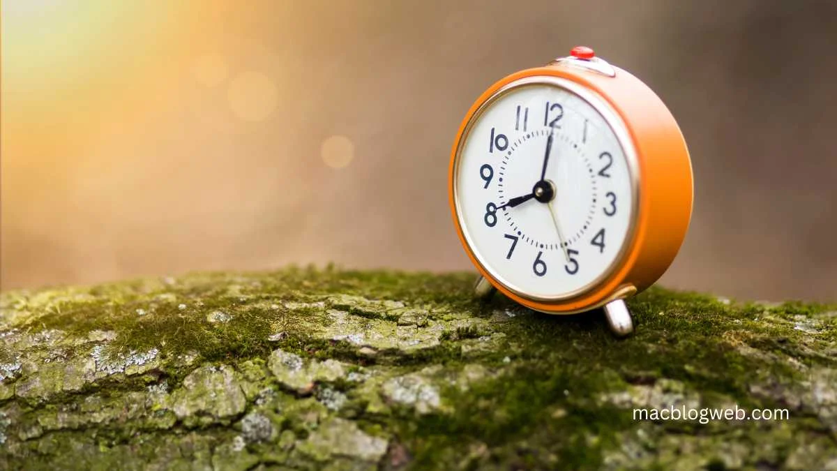 when is daylight savings